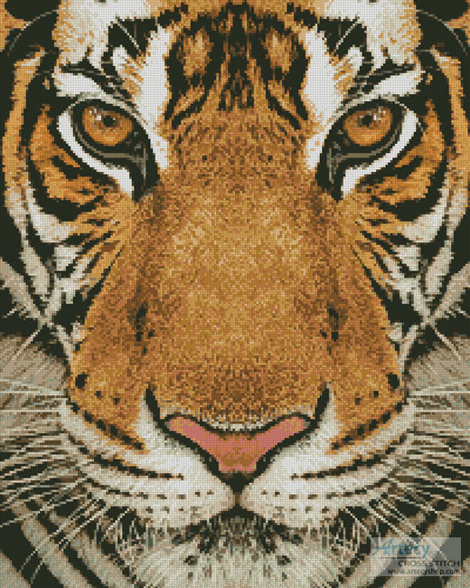cross stitch pattern Bengal Tiger (Colour)