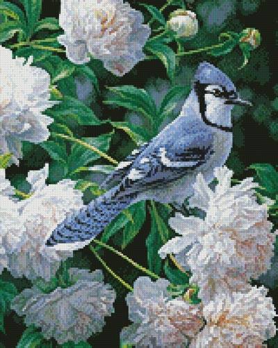 cross stitch pattern Blue Jay in Peonies (Crop)