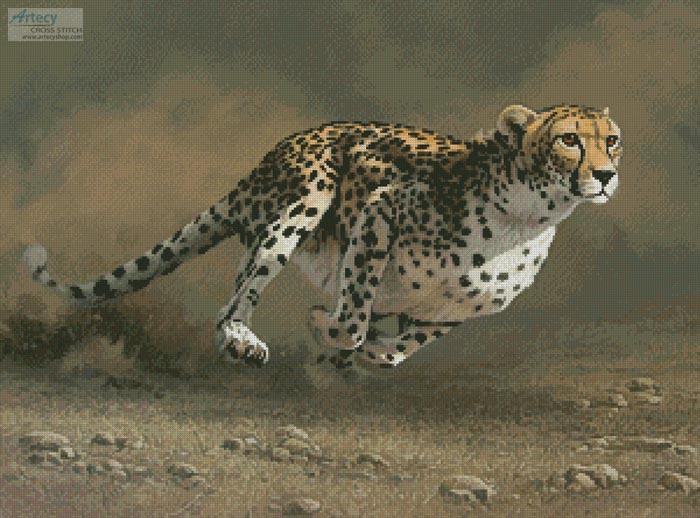 cross stitch pattern Born to Run