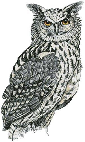 cross stitch pattern Eurasian Eagle Owl