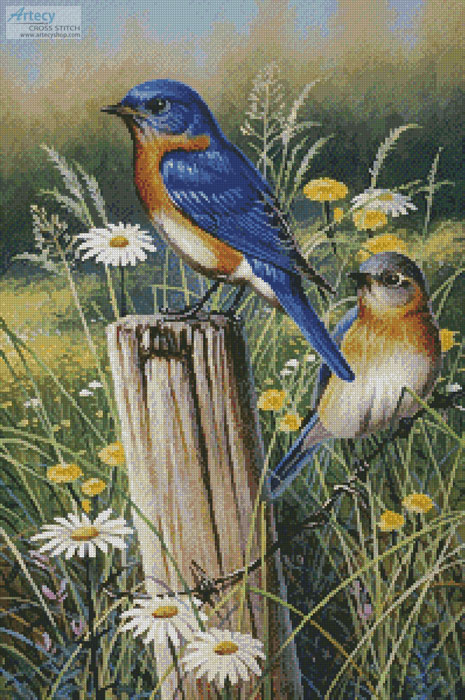 cross stitch pattern Eastern Beauties