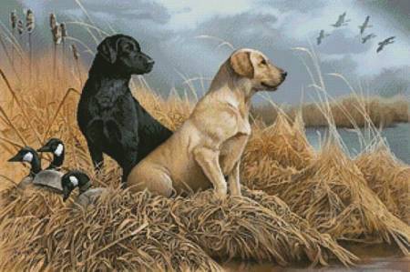 cross stitch pattern Friends in the Field