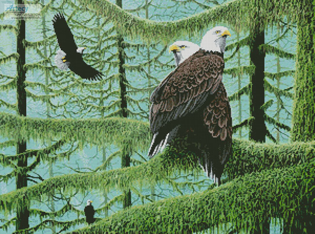 cross stitch pattern A Gathering of Eagles