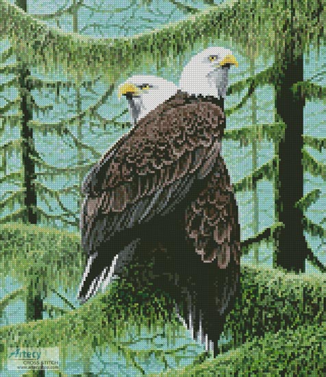 cross stitch pattern A Gathering of Eagles (Crop)