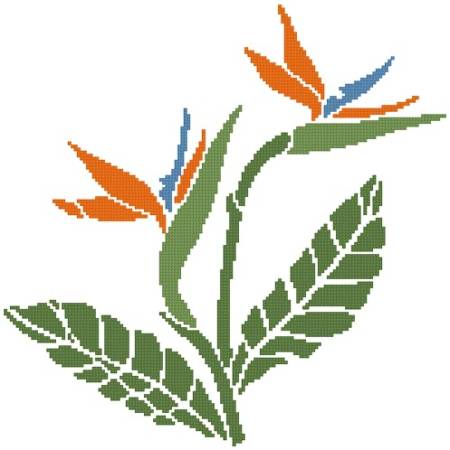 cross stitch pattern Little Bird of Paradise 2
