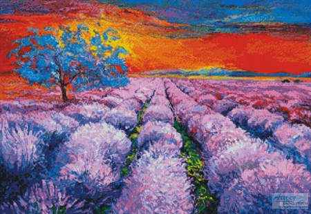 cross stitch pattern Lavender Field at Sunset