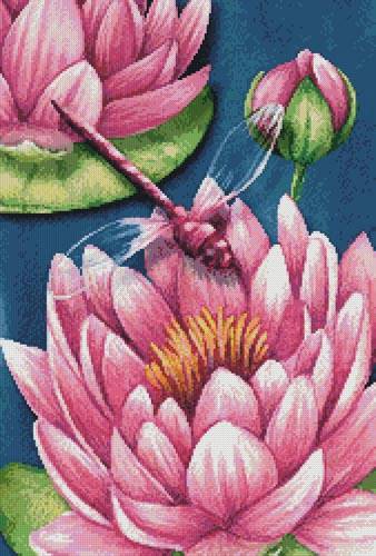 cross stitch pattern Pink Waterlilies