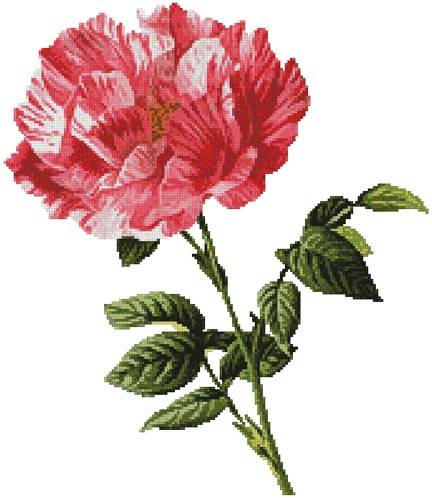 cross stitch pattern Pink Floral