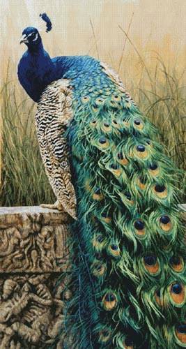 cross stitch pattern Royal Splendour (Large)