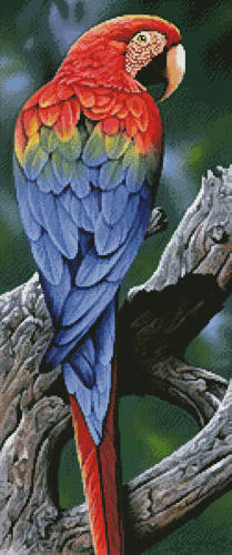 cross stitch pattern Scarlet Macaw Painting