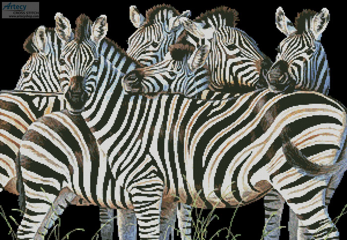 cross stitch pattern Zebra Huddle