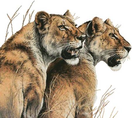 cross stitch pattern Abosisi (Sisters) No Background