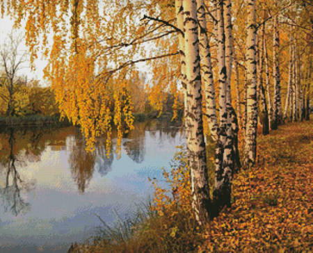 cross stitch pattern Birch Tree