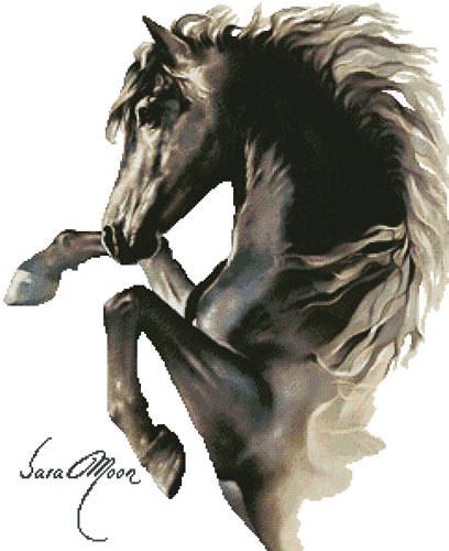 cross stitch pattern Black Fury (No Background)