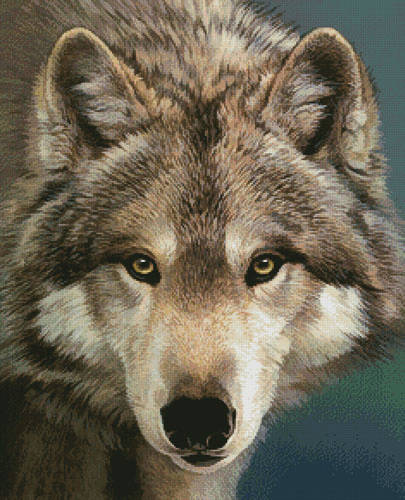 cross stitch pattern The Eyes of a Hunter