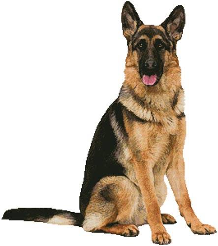 cross stitch pattern German Shepherd Sitting
