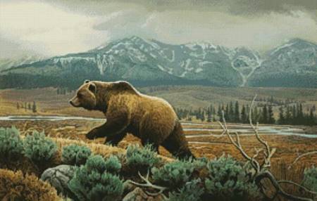 cross stitch pattern Grizzly