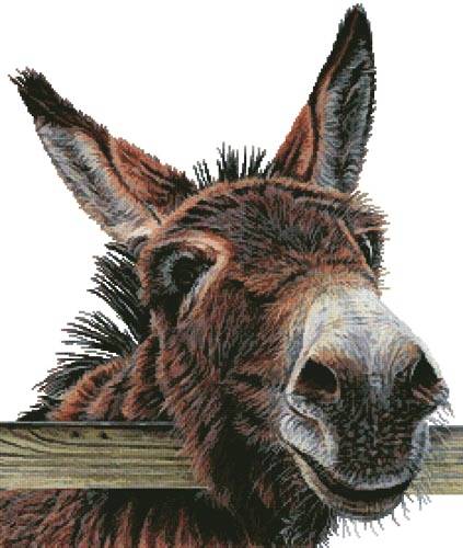 cross stitch pattern Hee Haw 2