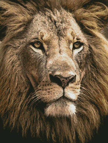 cross stitch pattern Lion Close up