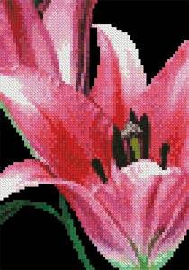 cross stitch pattern Mini Pink Lily