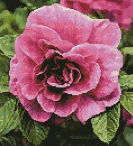 cross stitch pattern Pink Rose Photo (Crop)