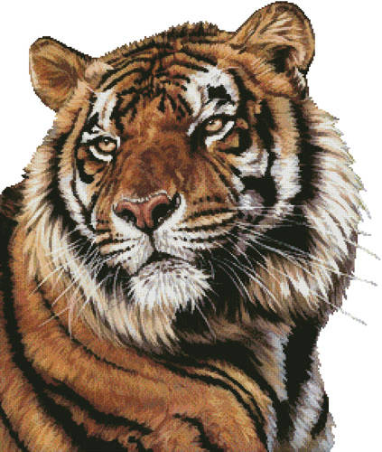 cross stitch pattern Power and Grace (No Background)