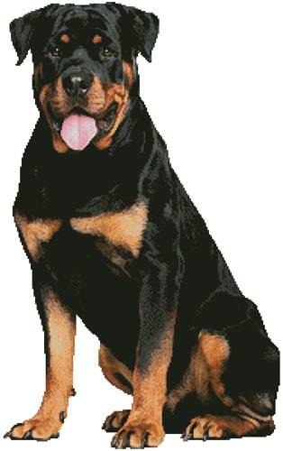 cross stitch pattern Rottweiler Sitting