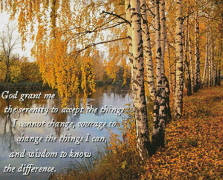 cross stitch pattern Serenity Birch Tree