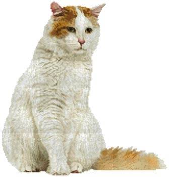 cross stitch pattern Turkish Van