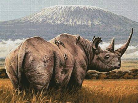 cross stitch pattern Amboseli (Crop)