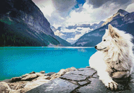 cross stitch pattern American Eskimo Dog 2