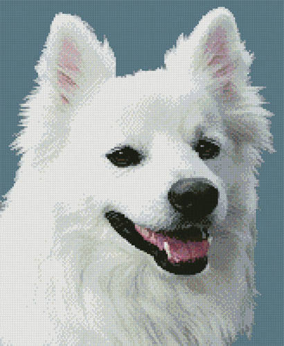 cross stitch pattern American Eskimo Dog 3