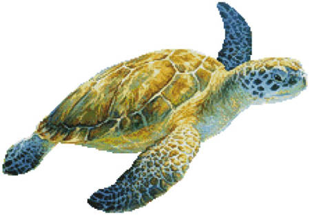 cross stitch pattern Ancient Mariner (Crop) No Back