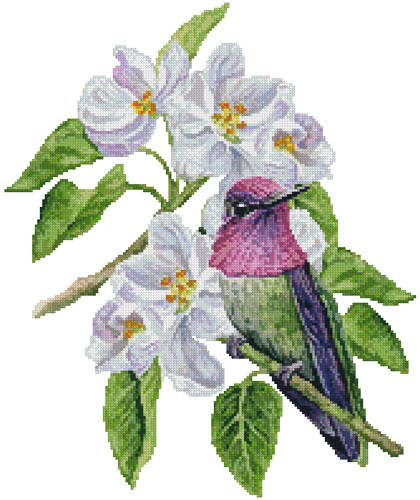 cross stitch pattern Anna's Blossom