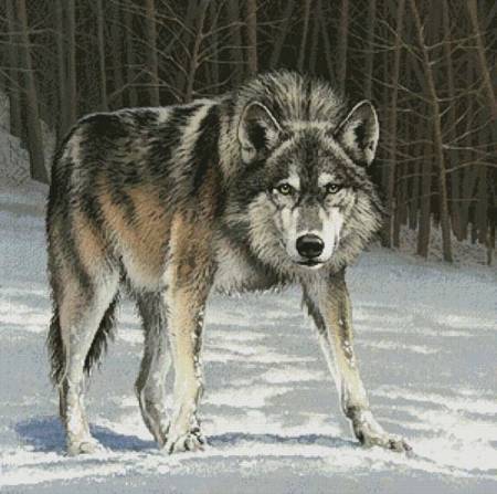 cross stitch pattern Challenge