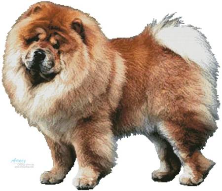 cross stitch pattern Chow Chow (No Background)