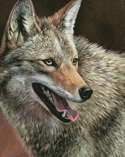 cross stitch pattern Coyote Profile