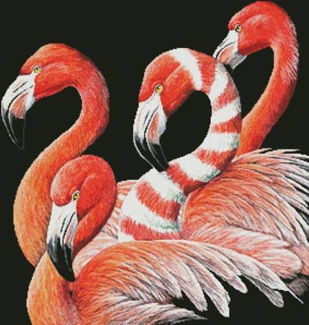 cross stitch pattern Four Flamingos