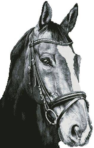 cross stitch pattern Horse Close Up 2 (BW) No BG