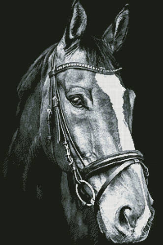 cross stitch pattern Horse Close Up 2 (Black and White)