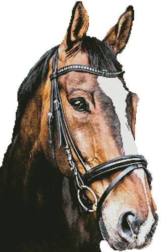 cross stitch pattern Horse Close Up 2 (No Back)