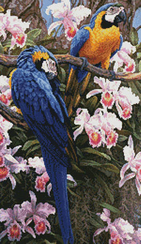 cross stitch pattern Jungle Majesty (Crop)