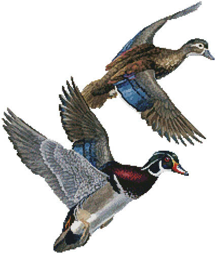 cross stitch pattern Lakeside Wood Ducks (No Background)