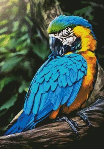 cross stitch pattern Macaw Profile
