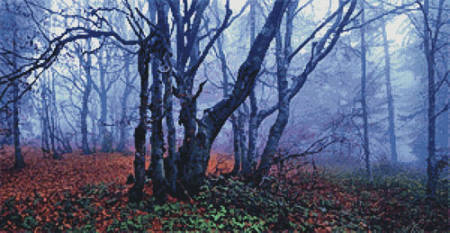 cross stitch pattern Misty Forest