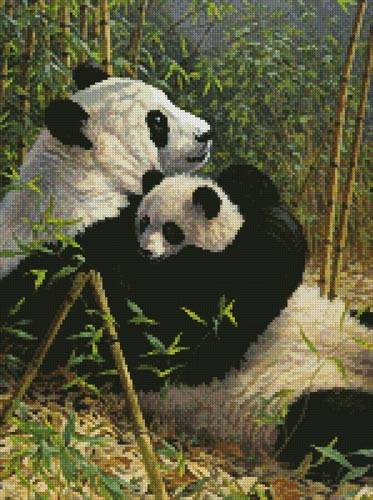 cross stitch pattern A New Dynasty (Crop)