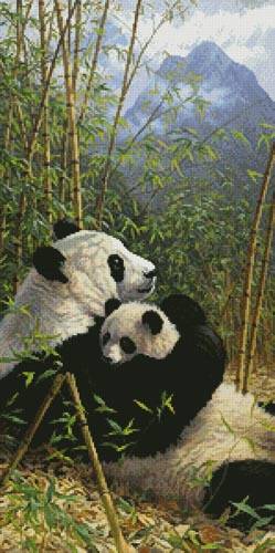 cross stitch pattern A New Dynasty