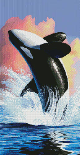 cross stitch pattern Orca 1