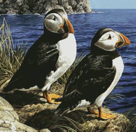 cross stitch pattern Puffin Couple (Crop)