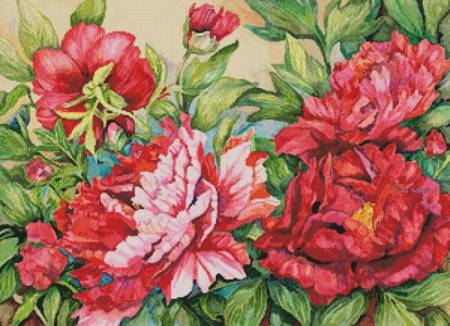 cross stitch pattern Peonies in Shades of Red
